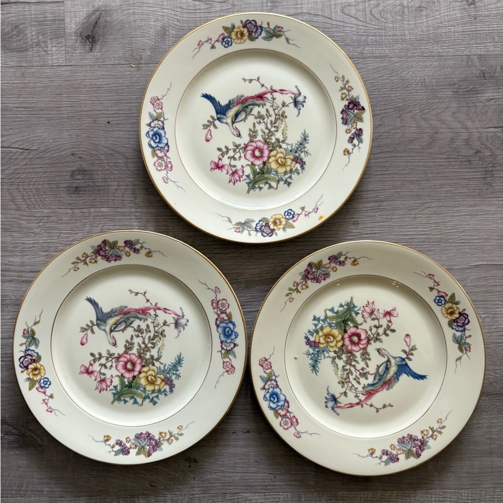 🏡 Rosenthal Phoenix Floral Bird Pattern Dinner Plates - (Set of 3)
